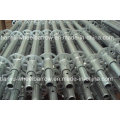 Scaffolding on Sale for Construction Tj005